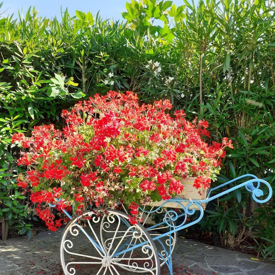 Hotel Garden B&B Marotta Dış mekan fotoğraf